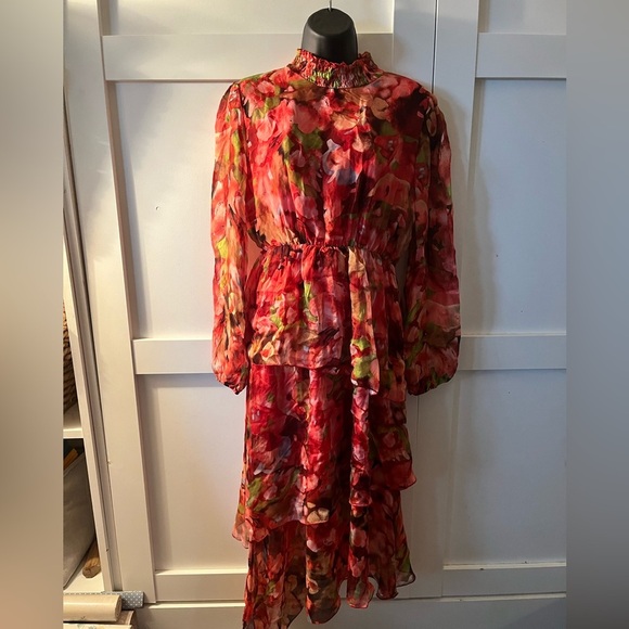 Vibrant Floral Long Sleeve Dress - Picture 4 of 5